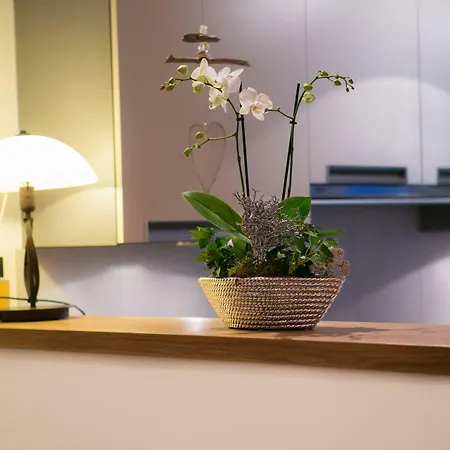 Chalet A La Casa Zermatt